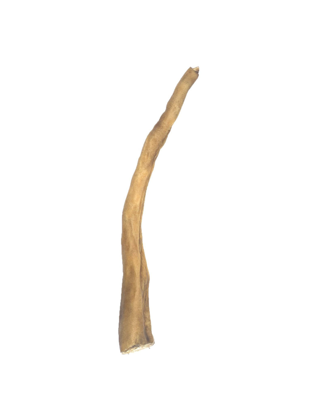 Buffalo Tail