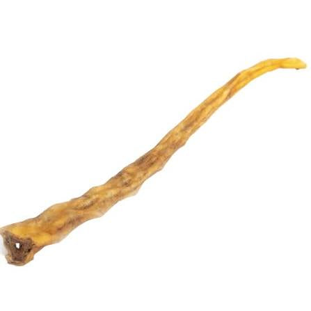 Buffalo Tail