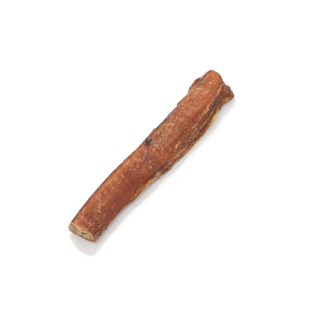 Bull Pizzle 12cm