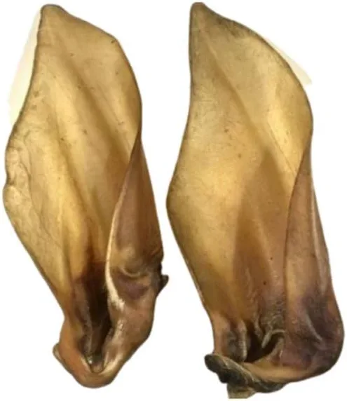 Buffalo Ear