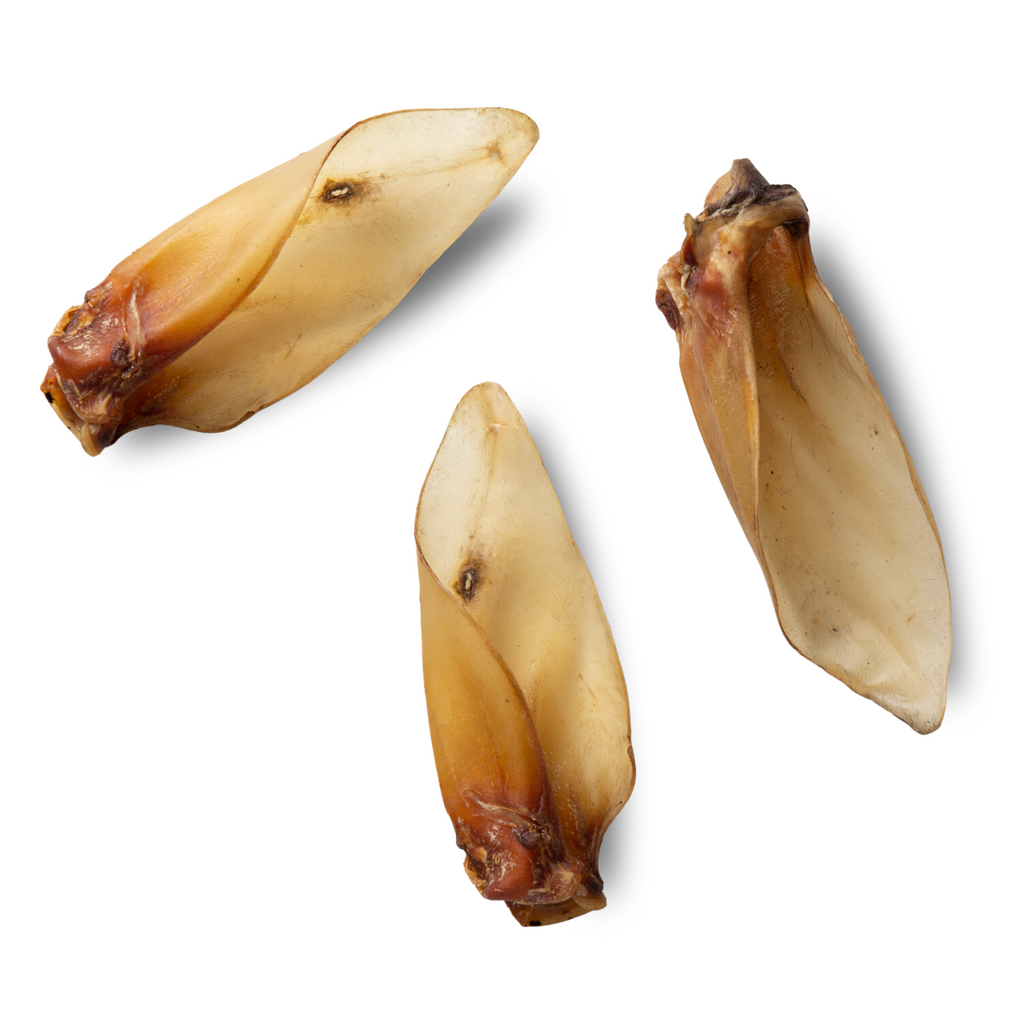 Buffalo Ear