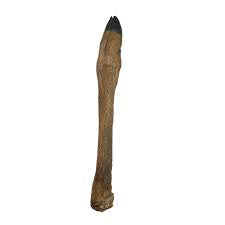 Hairy Roe Deer Leg