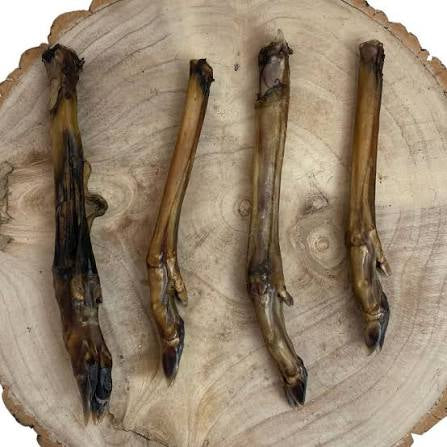 Roe Deer Leg