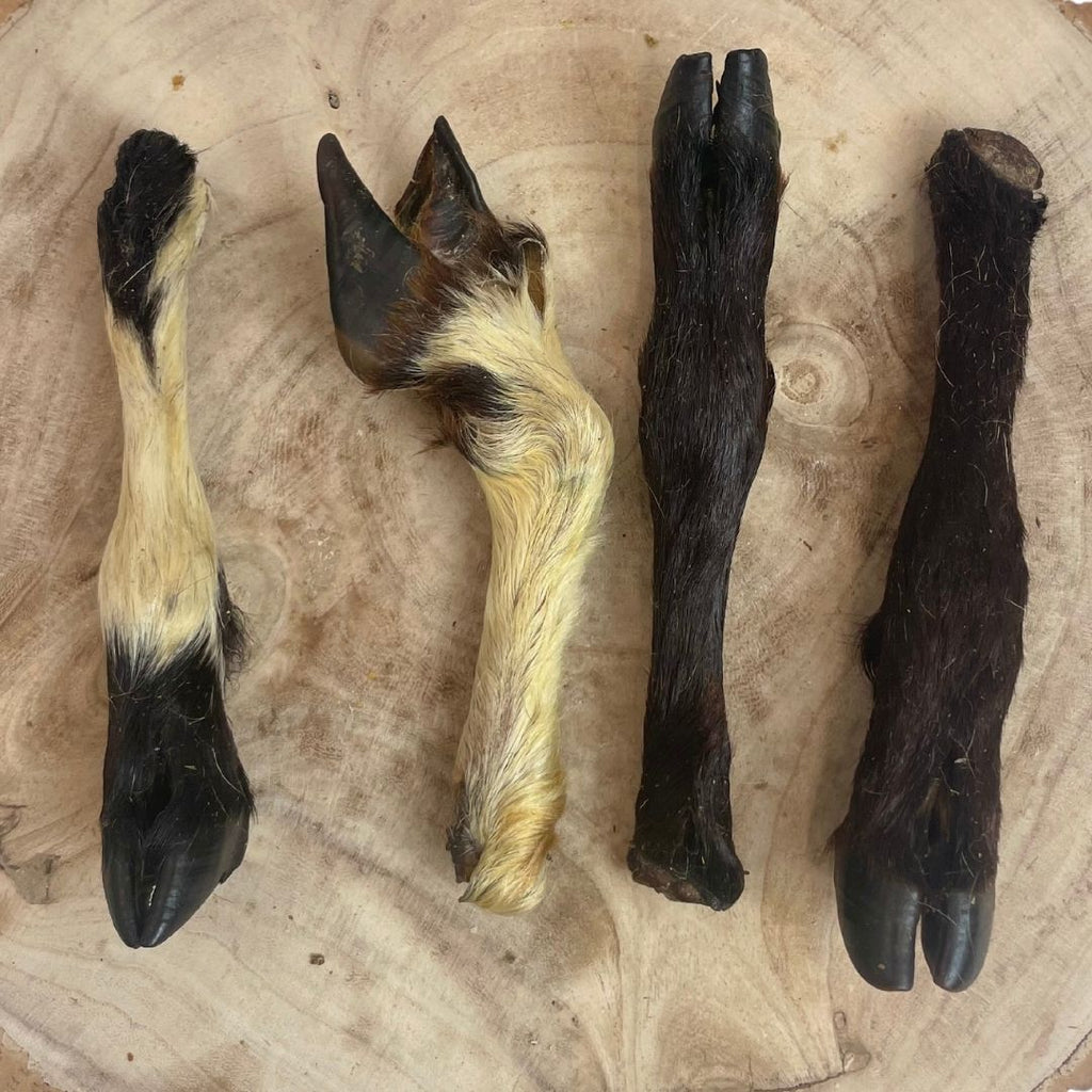 Hairy Lamb Leg
