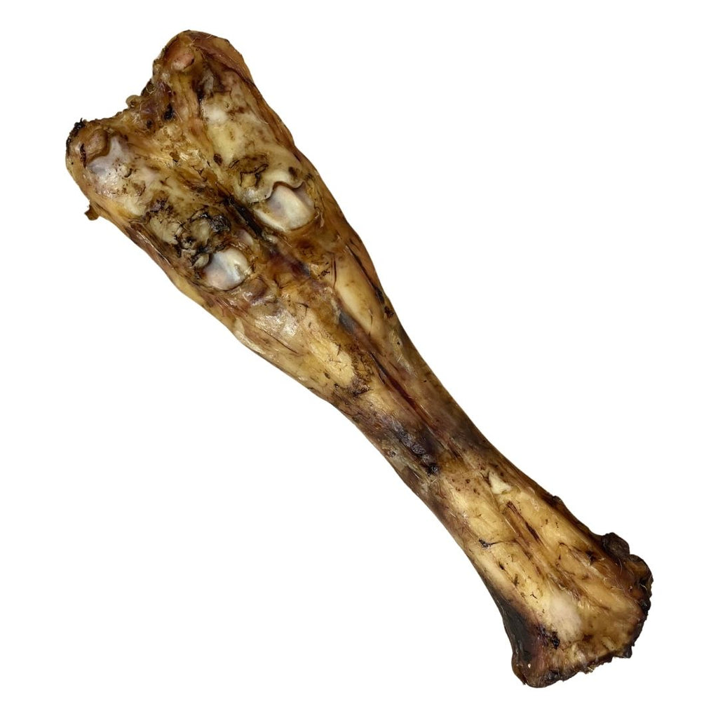 Cow Leg Bone
