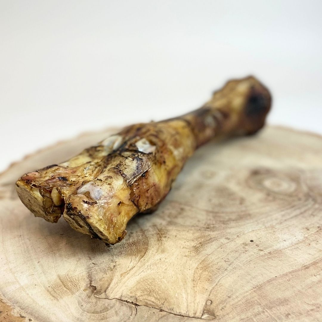 Cow Leg Bone