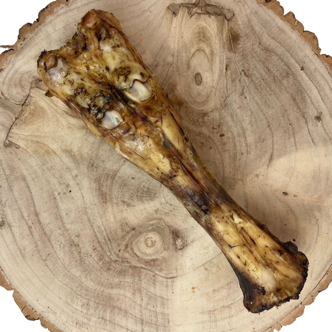 Cow Leg Bone