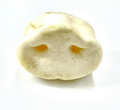 Large puffed pig snout